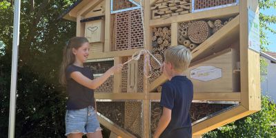TECHNIKHAUS REGEN – Ein Insektenhotel als Zuhause für Wildbienen 🐝