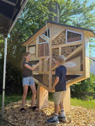 TECHNIKHAUS REGEN – Ein Insektenhotel als Zuhause für Wildbienen 🐝